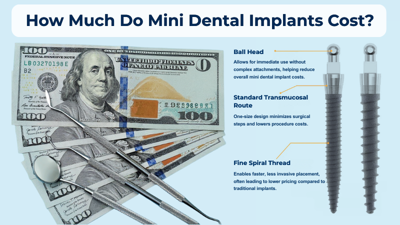 Visual comparison of mini dental implant structure with detailed labels explaining how ball head, standard transmucosal route, and fine spiral thread contribute to lower mini dental implant costs.