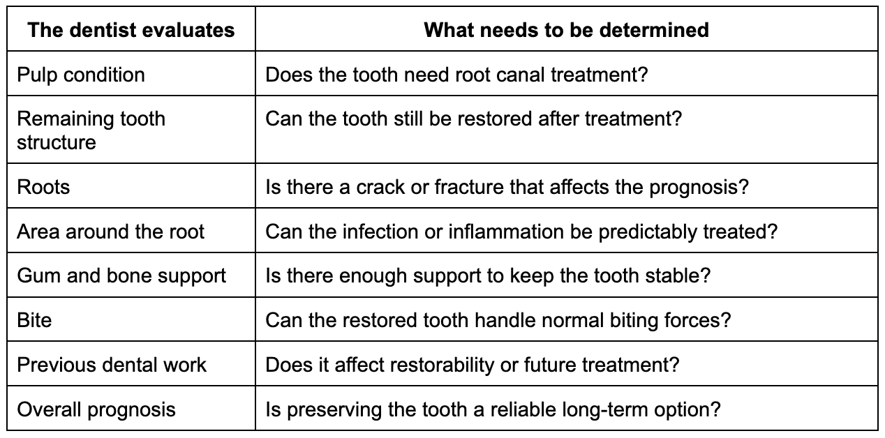 factors-dentists-evaluate-before-preserving-a-tooth